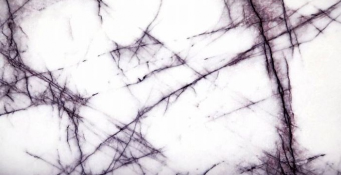 MILAS LILAC